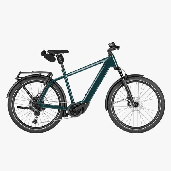Bicicleta eléctrica de Trekking Riese Müller charger5 touring Pine