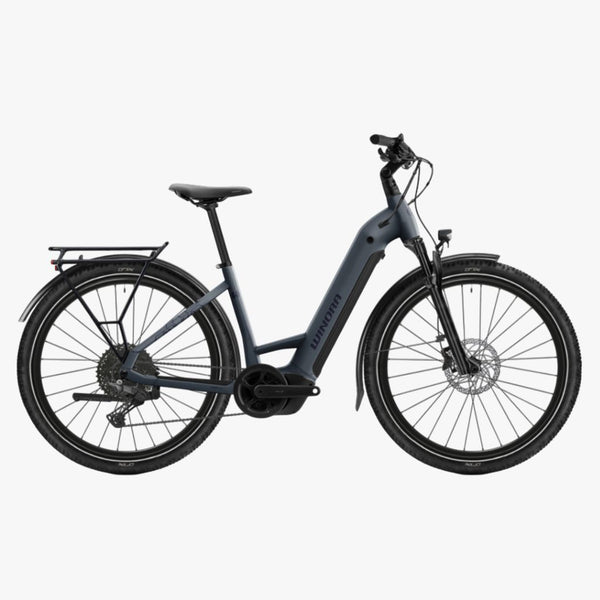 Bicicleta eléctrica de Trekking Winora YUCATAN X10 Low MA plush pigeon - matt 2026