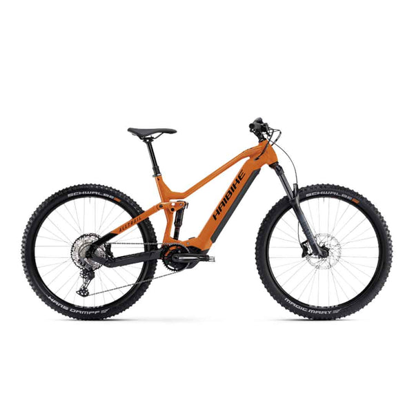 Bicicleta eléctrica Haibike AllTrail 6 29