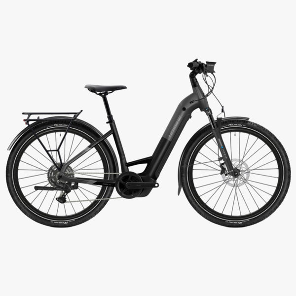 Bicicleta elŽctrica de Trekking Haibike TREKKING 6.5 Low stardust/titan 2026